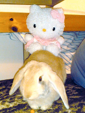 bettina la mia coniglietta carinaâ€¦con hello kitty